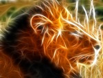 3D Lion