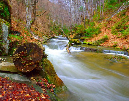 Beautiful Stream - stream, picture, cool, beautiful