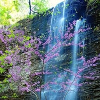 Beautiful Waterfall