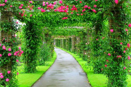 Beautiful Garden - Flowers & Nature Background Wallpapers on Desktop ...