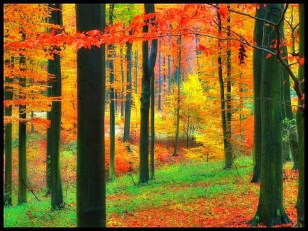 Colors of Nature - picture, colors of nature, beautiful