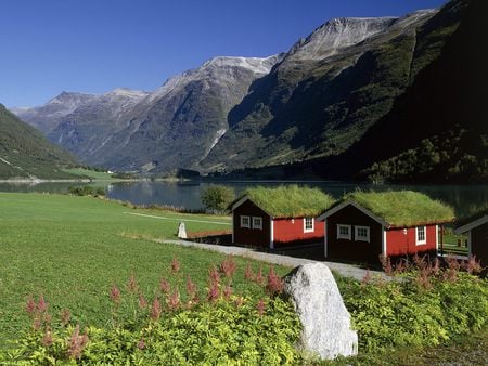 Place To Live  - nature, cabines, grass, field, mountains