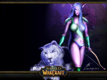 World Of Warcraft - world of warcraft, video game