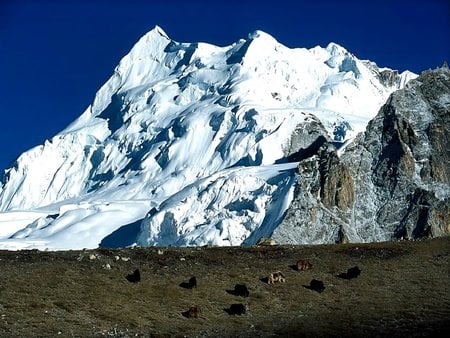 Mountain - nature, view, location, mountain, animals