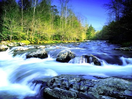 Mighty River - nature, view, forest, river, water, photo