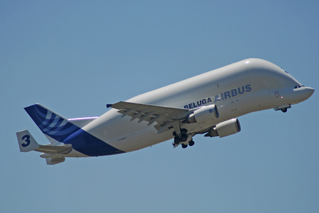 Airbus A300 600ST  -  Beluga - airbus a300 600st, beluga, airbus, 600st, a300