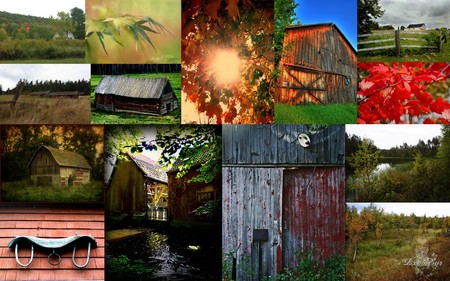 Fall Barns - autumn, fall, farm, seasons, colors, widescreen, country, barns