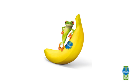 The Perky Frog - the perky frog, chiquita, banana, frog