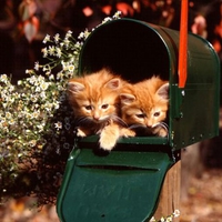 Hello!