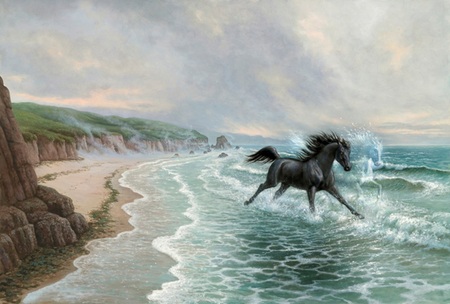 Black Horse - animal, beach, cavalo, horse