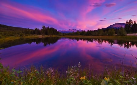 Beautiful... - clouds, trees, beautiful, grass, colors, lovely, reflection, flowers, colorful, sunset, nature, purple, lake, mountains, sky