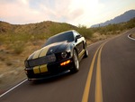 ford shelby GTH