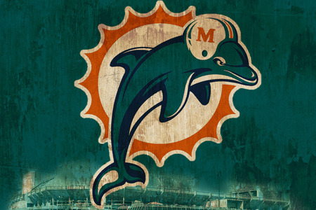 Dolphins Rough - dolphins, stadium, miami