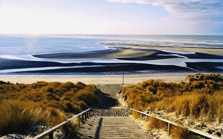 STEP DOWN TO OCEAN - stairs, grass, stairway, ocean, steps