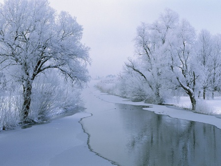 winter of a broken heart - winter, nature