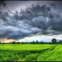 Green and Grey