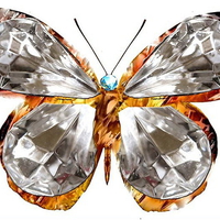 Butterfly Diamond