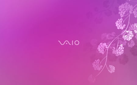 vaio pink edition - technology, vaio