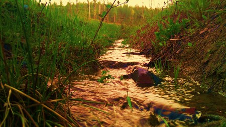 one little stream - stream, grass, water, nature