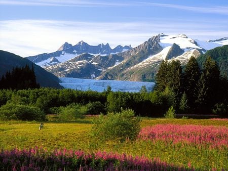 mountains of Alaska - lake, trees, alaska, glacier, mountains