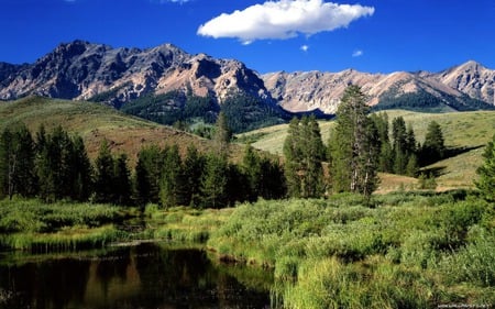 nature at its bests - lake, trees, mountains, sky