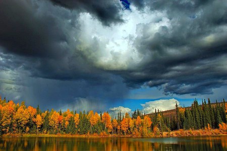 Trees in Autumn - trees in autumn, picture, dark clouds, cool