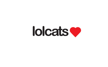 Lol Cats Love - heart, funny, lolcats, cats, simple, animals