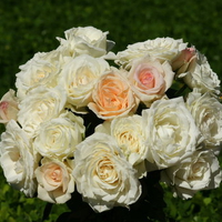 Boquet Roses. jpg