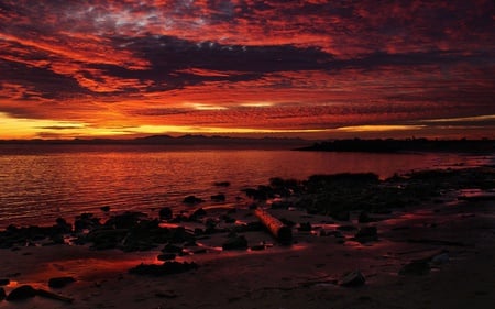 HD scenery with zenit - sky, nature, sunset