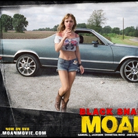 Black Snake Moan