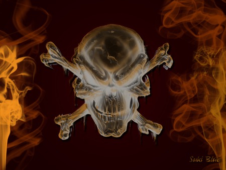 Skull  - fire, skull, silver