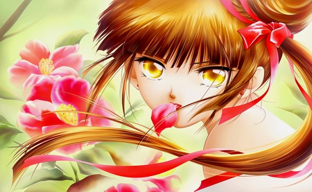 Anime - anime, flowers, vampire princess, miyu