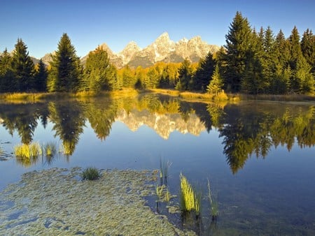 Beautiful Lake - nice, trees, water, mountains, lakes, lagoons, white, amazing, cool, golden, rivers, paysage, pond, sand, scene, paisagem, mounts, landscape, winter, waterscape, paisage, scenario, peaks, plants, gold, snow, beautiful, scenery, awesome, pines