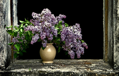 Simply Beautiful - lilacs, purple, window, windowsill, flowers, still life, lavender, vase