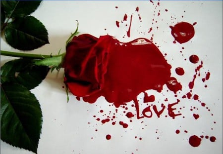 love - paint, passion, romantic, red, drops, rose, love, flower