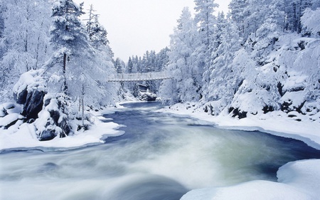 jingle bell rock snow - winter, nature