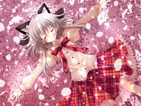 sleeping on cherry blossoms  - anime, cute, girl, cherryblossoms