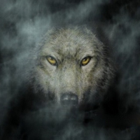 DARK WOLF