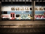 graffiti art on trains