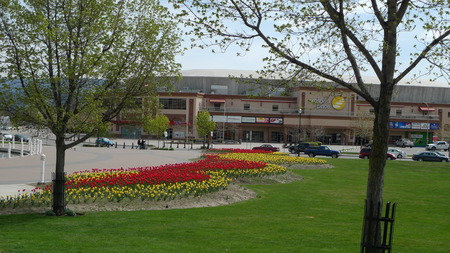 Home of The Rockets - rink, lawn, ice rink, trees, kelowna, hockey, tulips, park