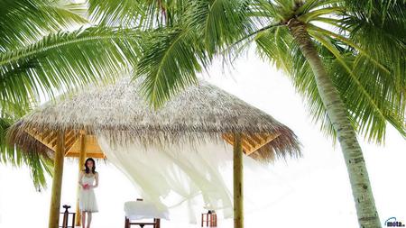 relaxation - hut, bed, tropics, sun, lady in white, palm beach, paradise, white, relaxation, asia, earth, lady, tropical, palm, asian, beach hut, relaxing, nature, shelter, romantic, beautiful, sea, beauty, woman, palm branches, beach, trees, massage bed, dine, pretty, house, tree, sand, shed, bungalow, ocean, palm trees, girl, white sand, palm tree, day, pergola, palms, summer, lovely, bright, massage