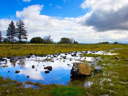 Water Scenes - nature, water, scenes