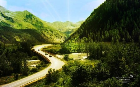 Country road - nature, forest