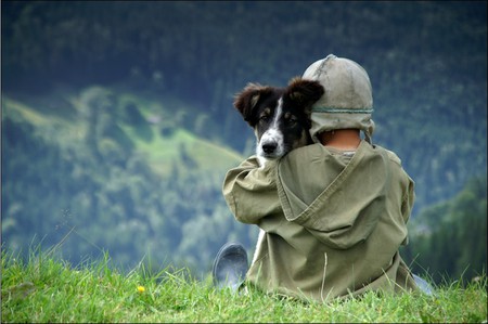 best friends - animal, dog, together, friends, friendship, love, child