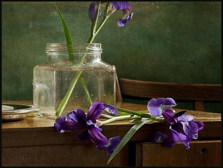 still life - purple, iris, flower, vase