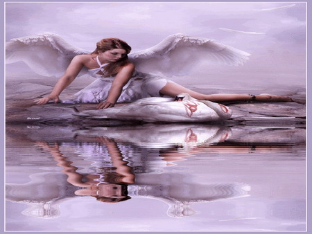 angel - broken, reflection, wing, swan