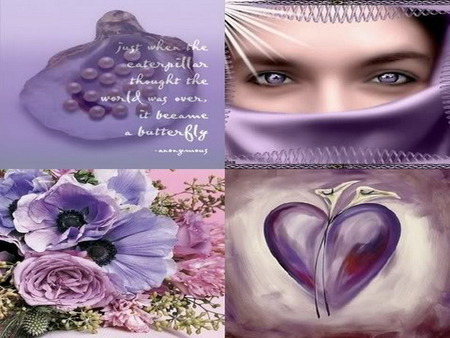 collage - anemone, purple, shell, heart