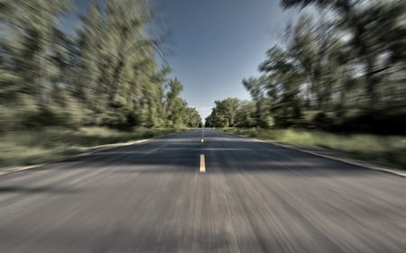 In Motion - road, trees, nature