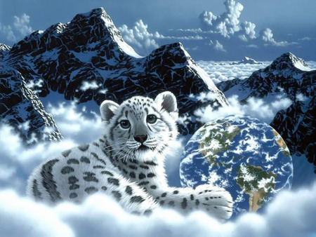 Tiger - clouds, earth, tiger, mountains