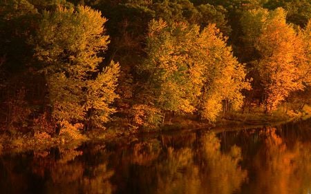 Autumn Waters - autumn, trees, fall, yellow, reflection, red, beautiful, river, orange